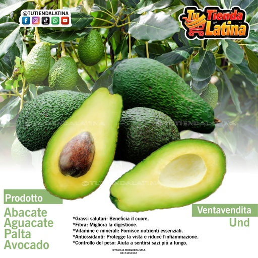 [Aguacate] Aguacate Maduro 